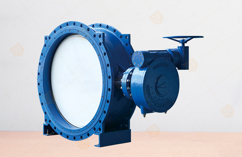 Worm double eccentric butterfly valve