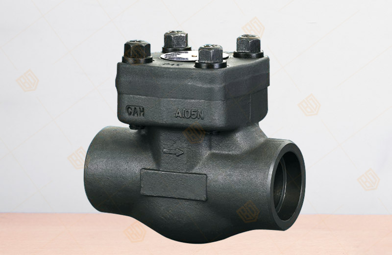 Forged Steel Thread, Bearing Check Valve