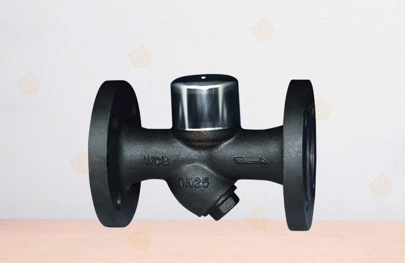 Thermal Power Disc Steam Trap